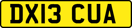DX13CUA