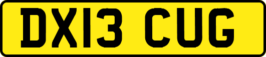 DX13CUG