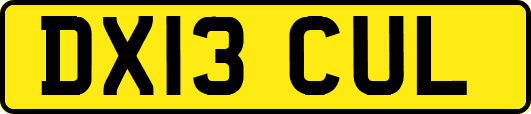 DX13CUL