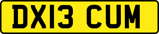 DX13CUM