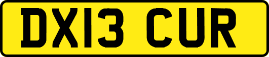 DX13CUR