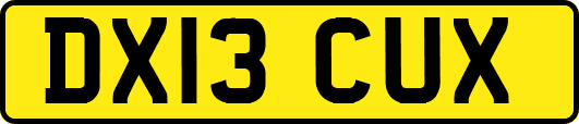 DX13CUX