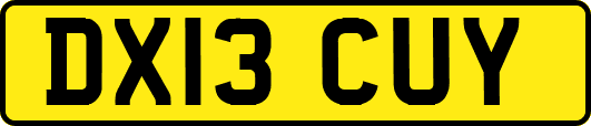 DX13CUY