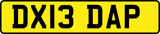 DX13DAP