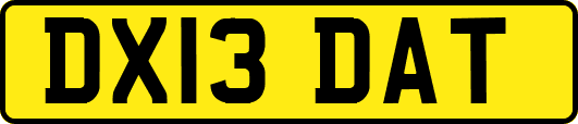 DX13DAT
