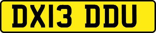 DX13DDU