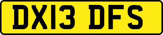 DX13DFS