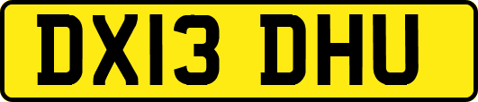 DX13DHU