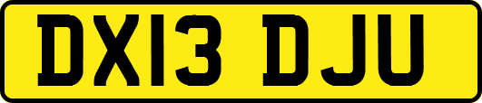 DX13DJU