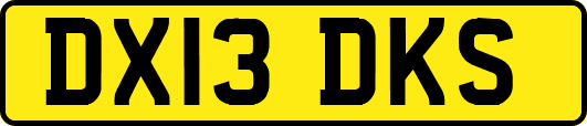 DX13DKS