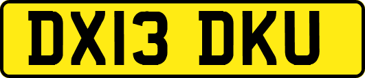DX13DKU