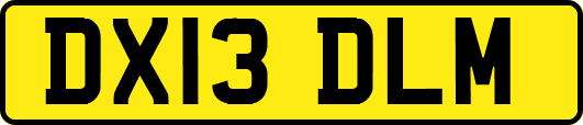 DX13DLM