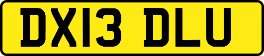 DX13DLU