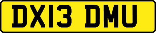 DX13DMU
