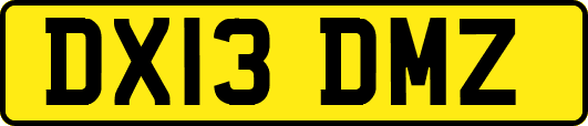 DX13DMZ