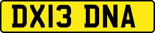 DX13DNA