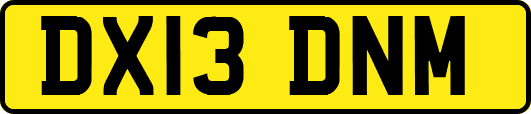 DX13DNM