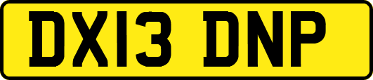 DX13DNP