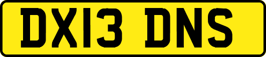 DX13DNS