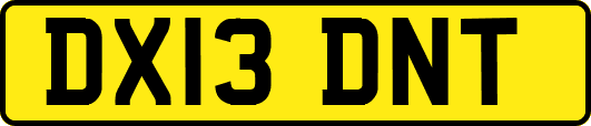 DX13DNT