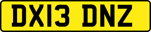 DX13DNZ