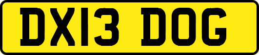 DX13DOG