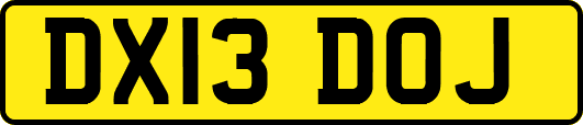 DX13DOJ