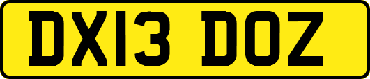 DX13DOZ
