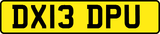 DX13DPU