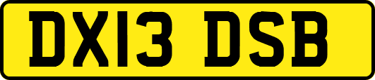 DX13DSB