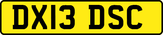 DX13DSC