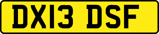 DX13DSF