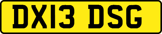 DX13DSG