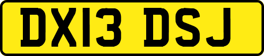 DX13DSJ