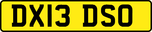 DX13DSO