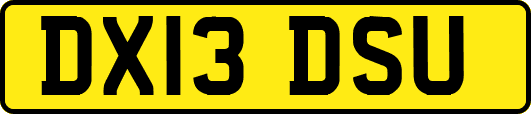 DX13DSU