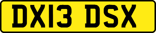 DX13DSX