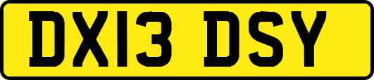 DX13DSY