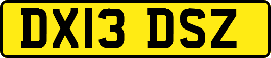 DX13DSZ
