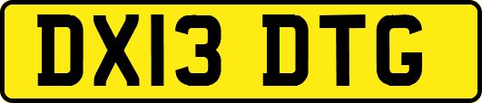DX13DTG