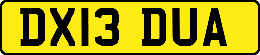 DX13DUA