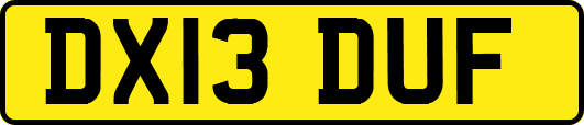 DX13DUF