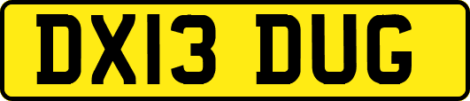 DX13DUG