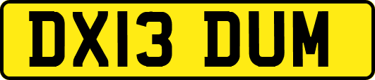 DX13DUM