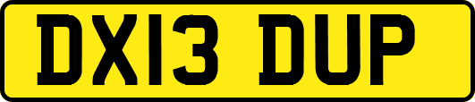 DX13DUP