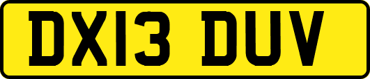 DX13DUV
