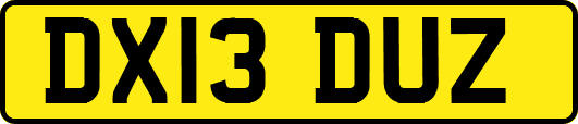 DX13DUZ