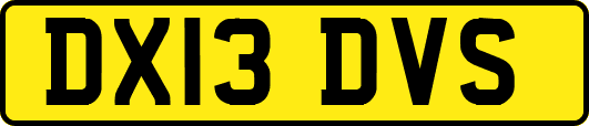 DX13DVS
