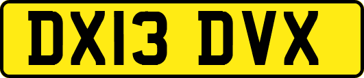 DX13DVX