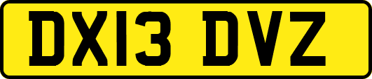 DX13DVZ